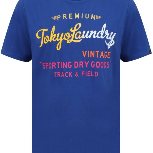 T-Shirts Candyshop Ombre Motif Cotton Jersey T-Shirt In Sea Surf Blue / S - Tokyo Laundry
